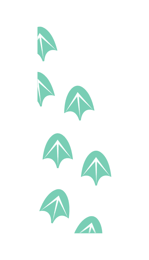 Background decoration